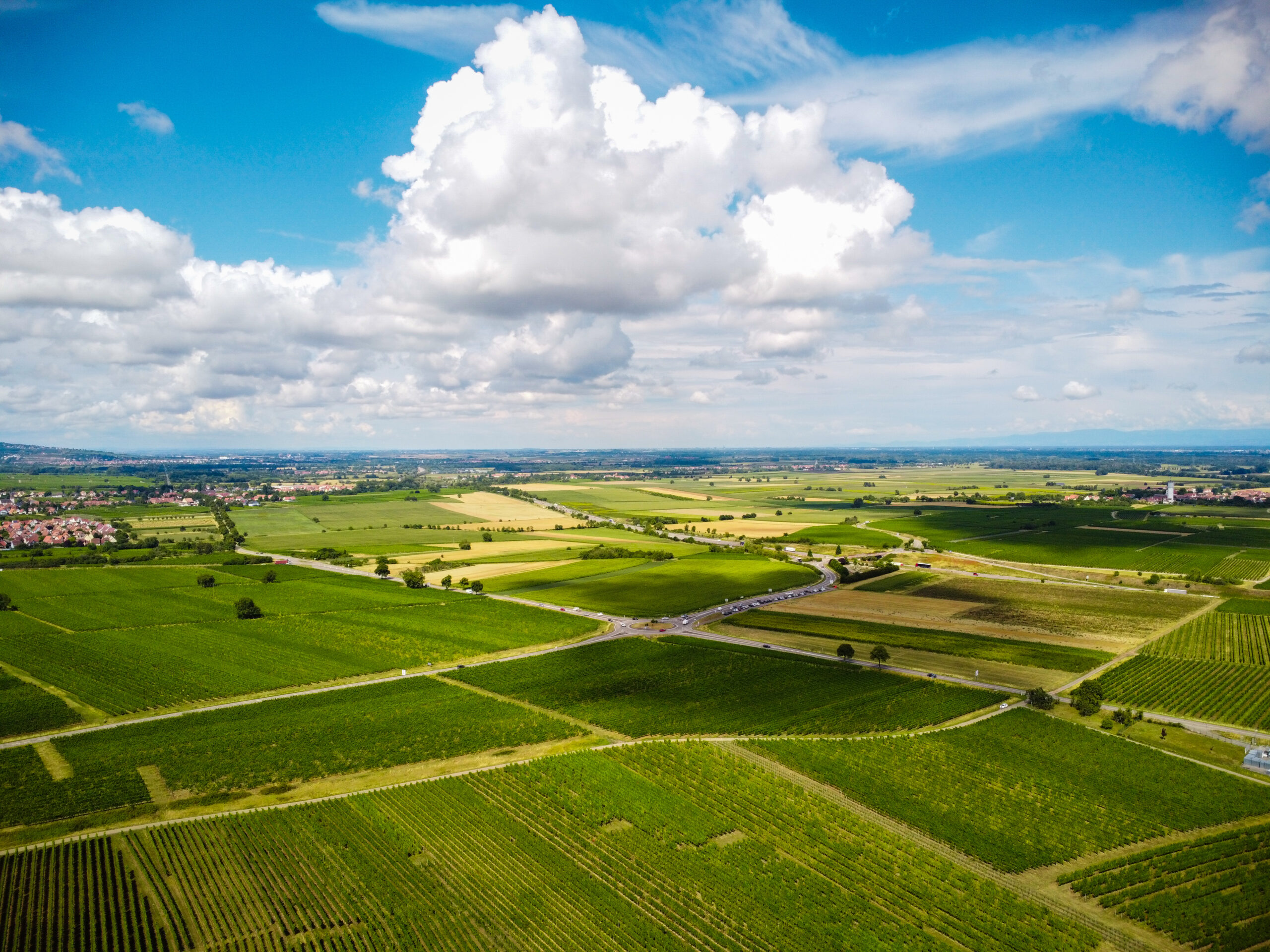 Route des vins Alsace Route des vins Alsace